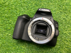 Canon 250D kit 18-55mm IS STM 14000 кадров