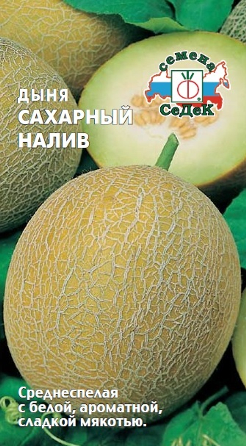 дыня Сахарный Налив