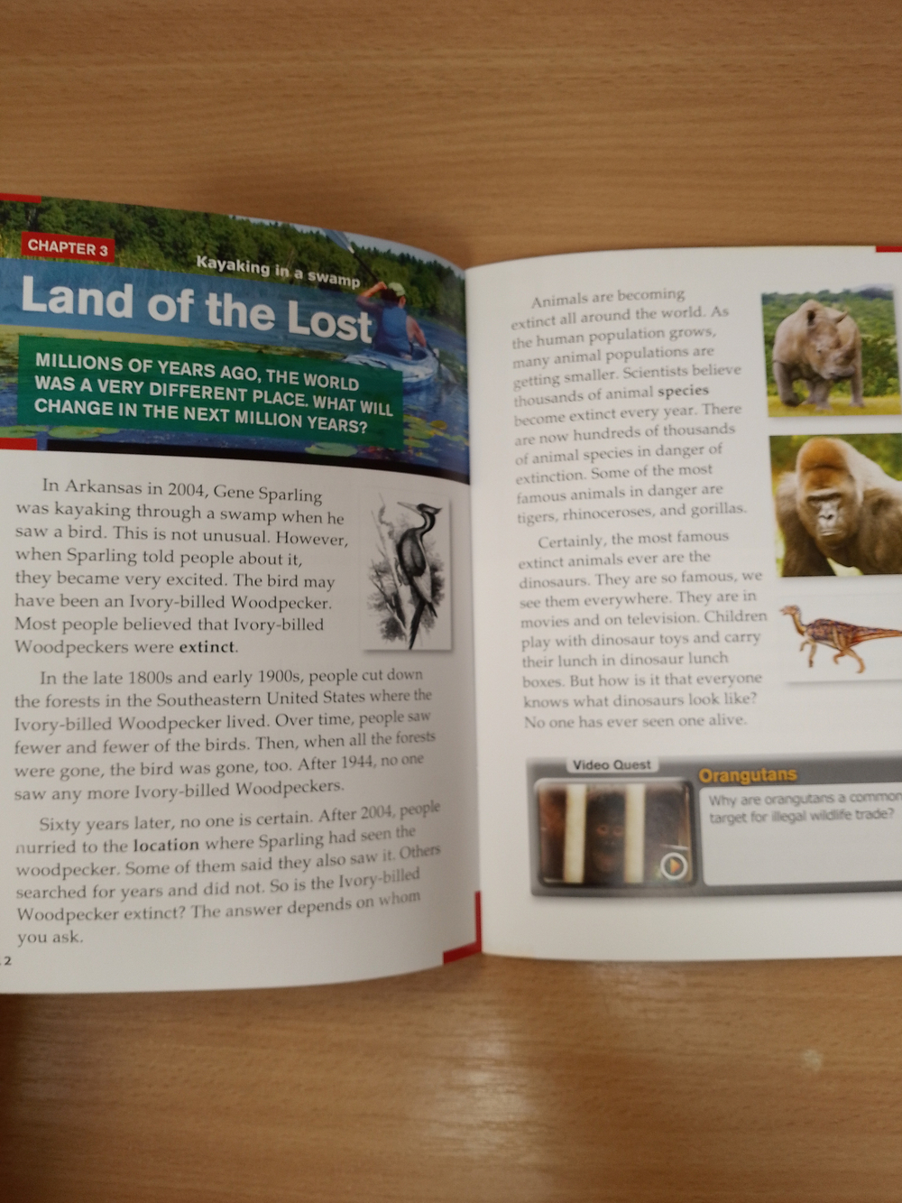 Losing It: Meaning of Loss Bk +Online Access