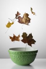 Миска для смешивания in the forest 21 см зеленая