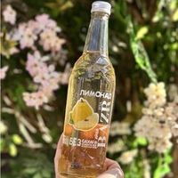 Лимонад натуральный айва без сахара, 0,5 л BAZR