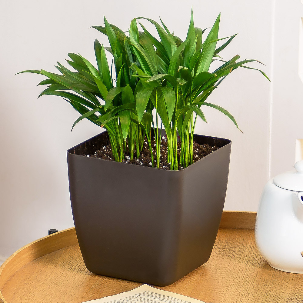 Горшок цветочный Vienna 1,5л с дренажной вставкой, горький шоколад