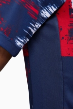 Футболка Nike PSG 24/25 Pre-Match - многоцветный