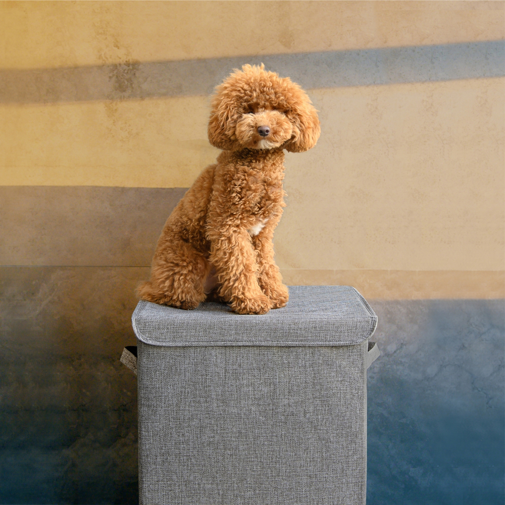 Корзина для белья с тремя съёмными мешками