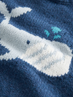 Джемпер для мальчика Next E27-758, Синий