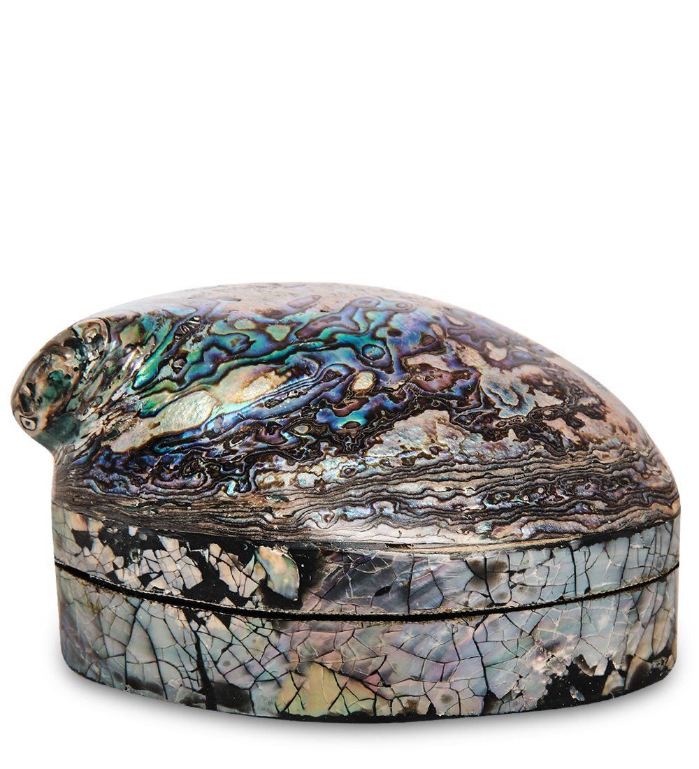 Decor and Gift 54-042 Декоративная шкатулка «Ракушка»