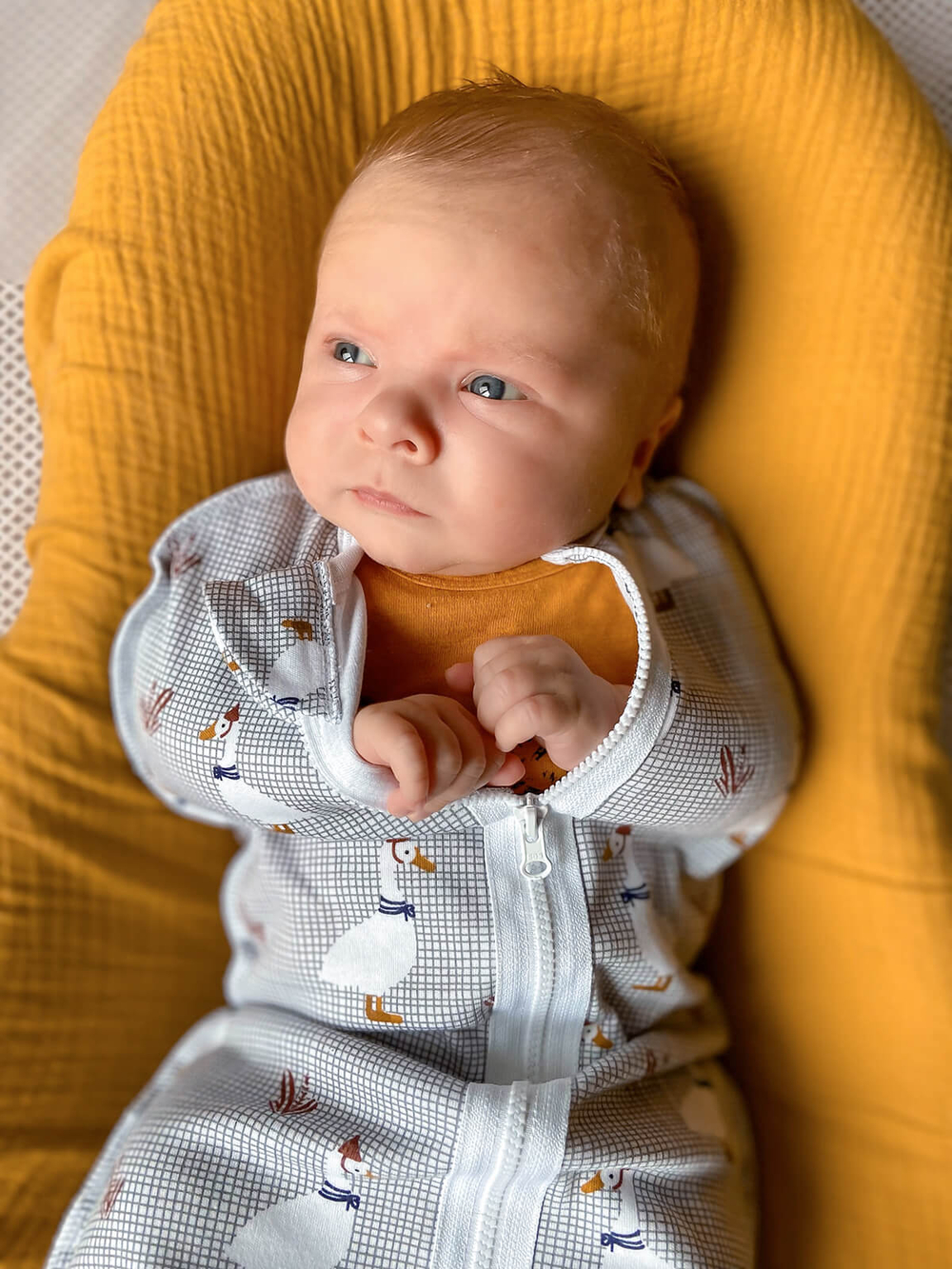 Пелёнка-кокон Mjölk Гуси