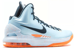 Кроссовки Nike Kd 5 Ice Blue