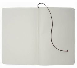 Блокнот Moleskine Classic Large 240 стр нелинованный (QP062R)