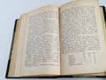 "Язвы Петербурга". В.Михневич. 1886 г.