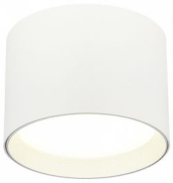 Накладной светильник ST-Luce  ST163.502.01.02