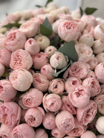 Букет из 101 кустовой пионовидной розы сорта "Менсфилд Парк"