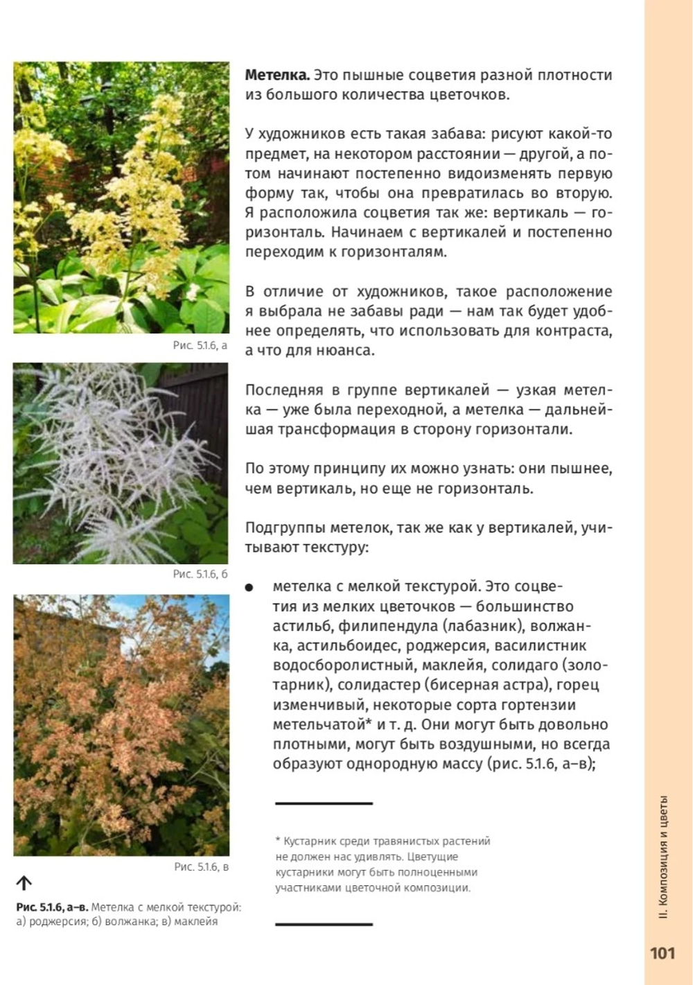 Цветник в законе. Создай цветник по правилам композиций. Старостина И.А.