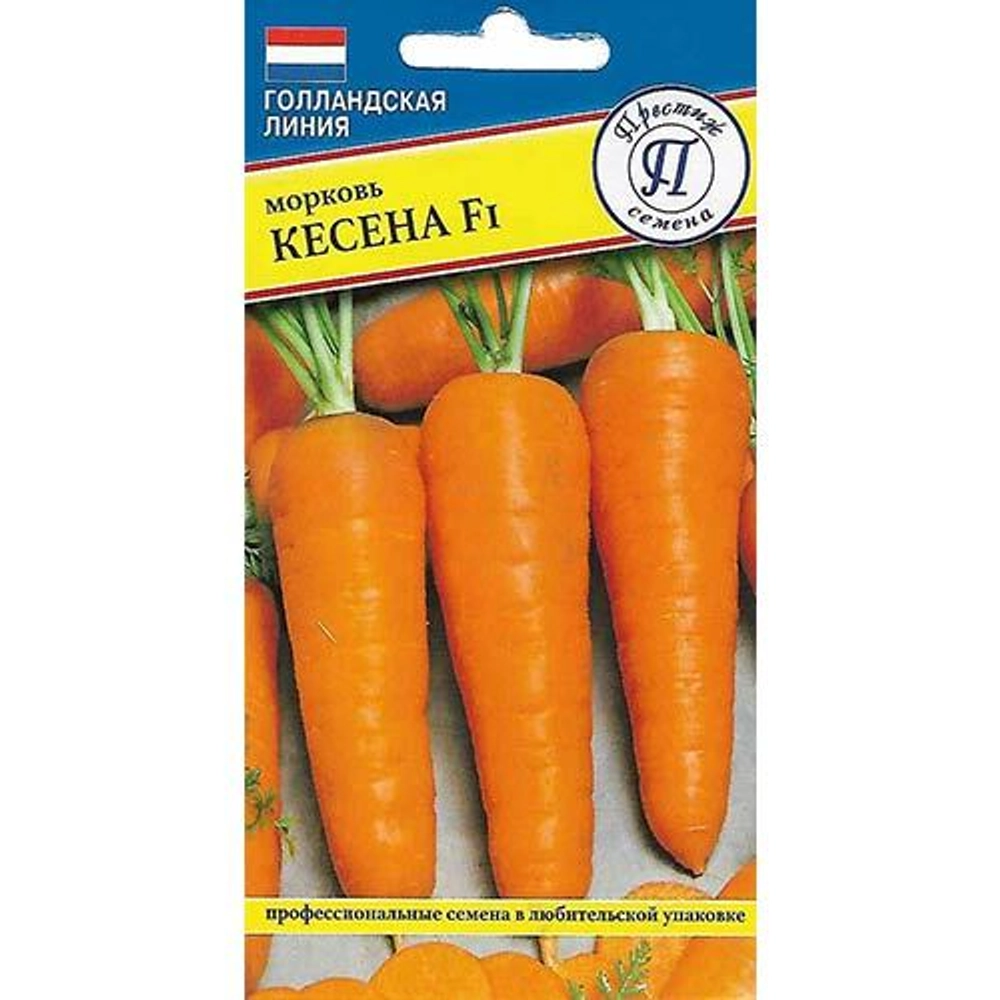Морковь Кесена Престиж