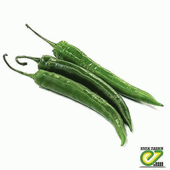 ХАЙФИ F1 семена перца острого (Enza Zaden | Alexagro)