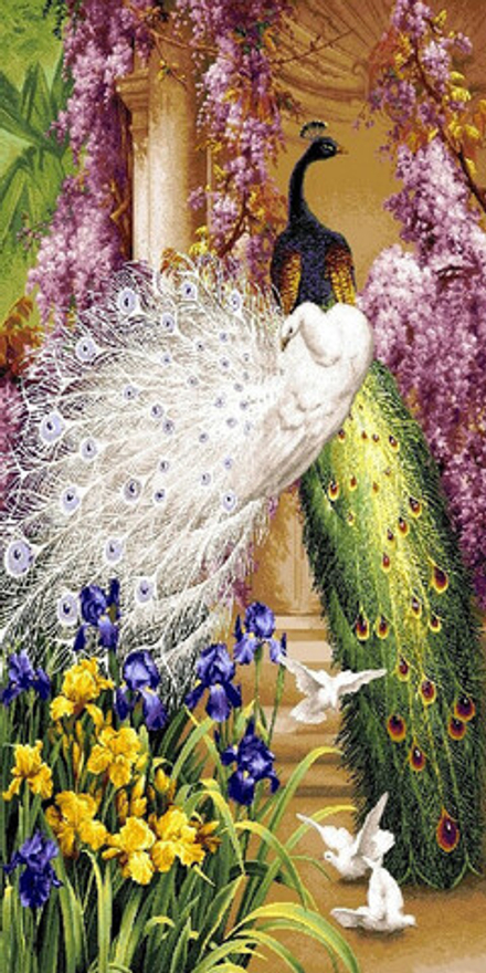 Гобеленовая картина "D. ПАВЛИНИЙ ДУЭТ" в багетной раме, Россия.