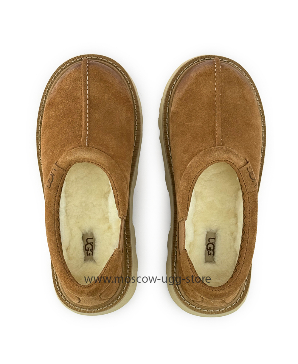 MEN'S TASMAN LUG - Chestnut