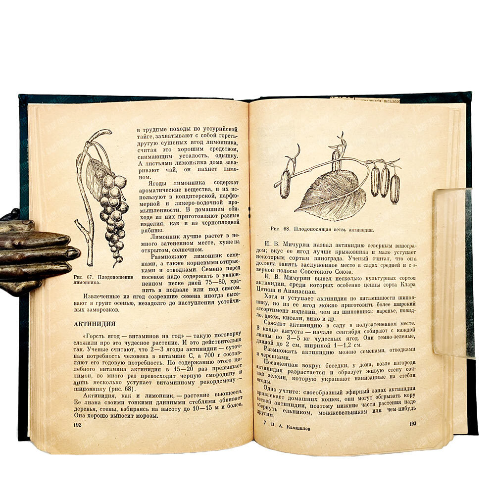 Камшилов Н.А. Практические советы по садоводству. М. Колос. 1971г.