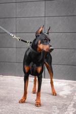 Ошейник-полуудавка "Пони-маскарпони"