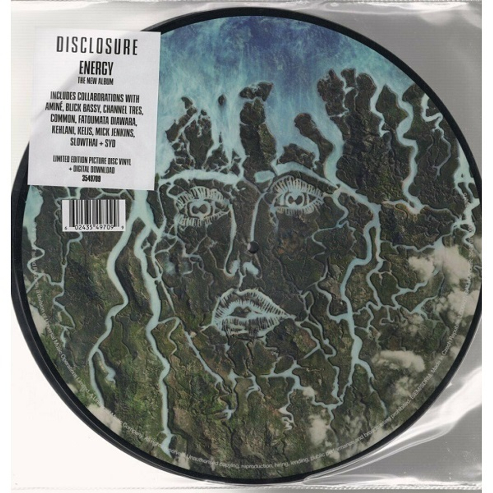 Disclosure / Energy (Picture Disc)(2LP)