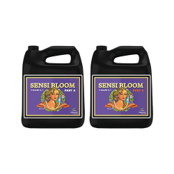 pH Perfect Sensi Bloom A+B