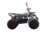 Квадроцикл MOTAX ATV Grizlik Premium 125