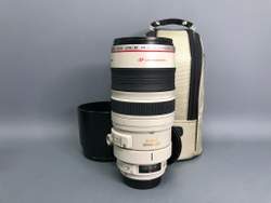Canon EF 100-400mm 4.5-5.6L IS