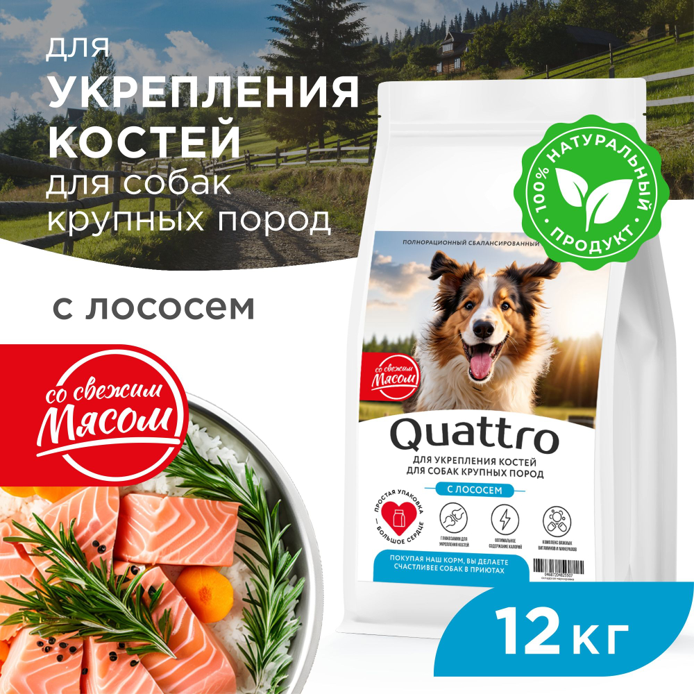 Корм сухой для взрослых собак крупных пород, премиум полнорационный комплекс, для укрепления костей у собак, с лососем, 12 кг, QUATTRO
