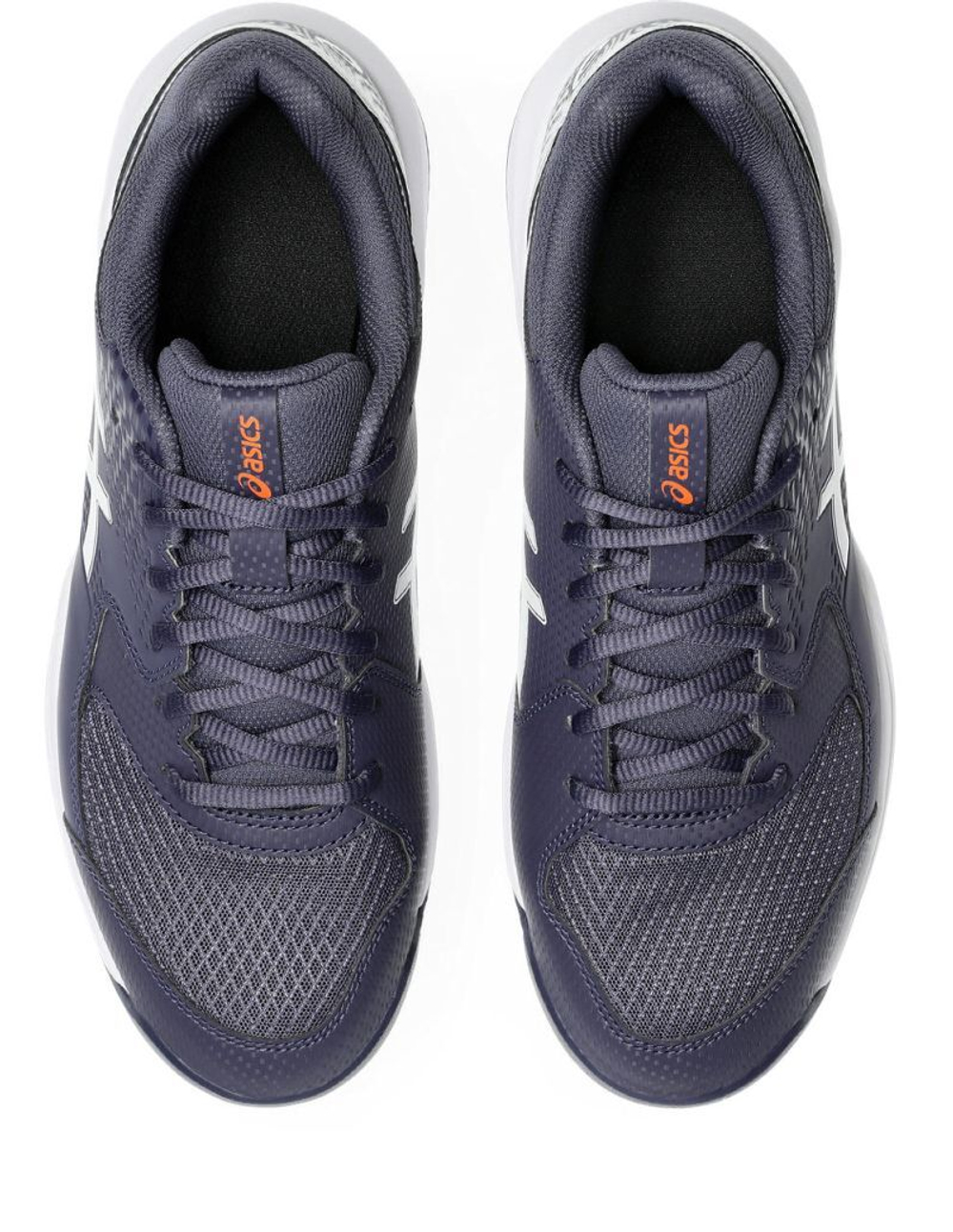 Мужские кроссовки теннисные Asics Gel-Dedicate 8 Clay - Фиолетовый