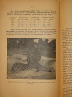 "Стрельба пулей. Охотничье пульное ружьё. В двух томах". С.А.Бутурлин. 1913г.