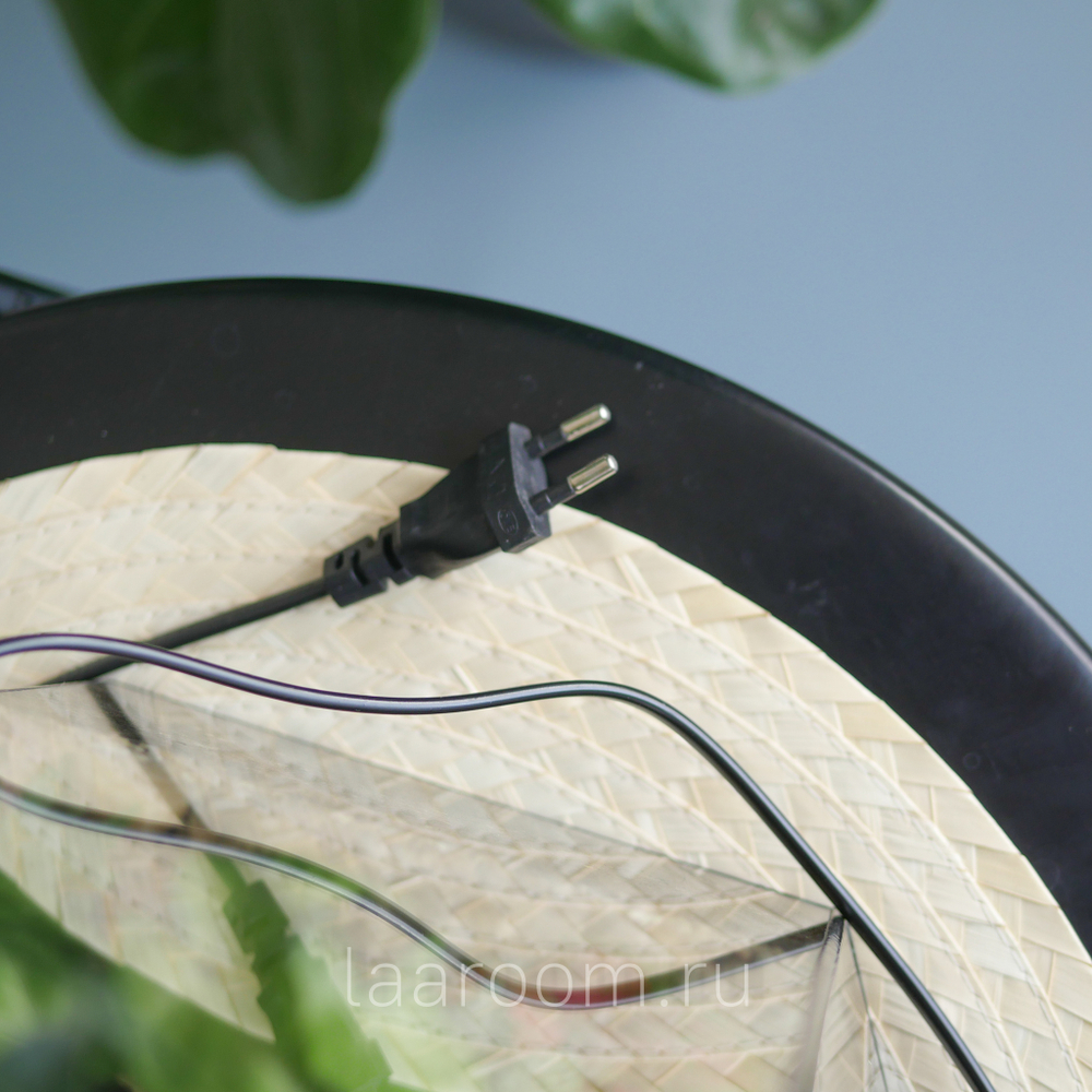 Флорариум с водопадом бонсай Фикус Будда