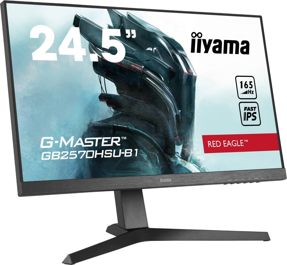 Монитор LCD 24.5'' Iiyama GB2570HSU-B1 Black