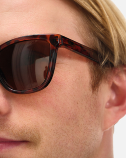 Очки Anteater Агент Леопард/Коричневый