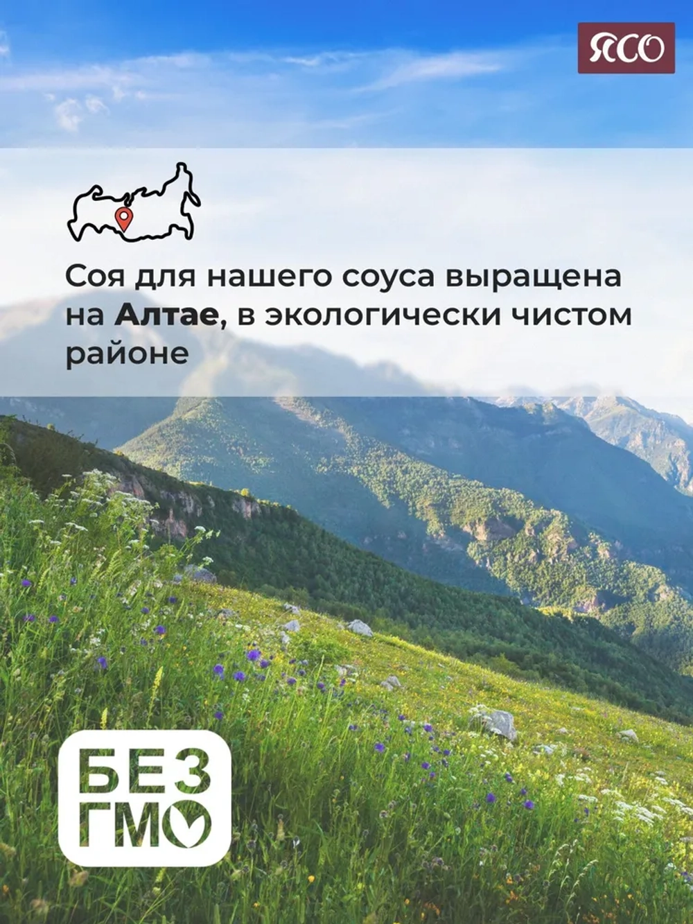 Майонез низкокалорийный, Ясонез