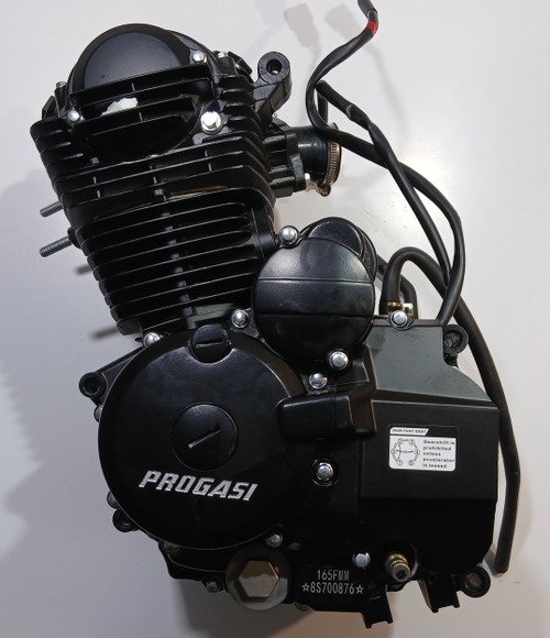 Двигатель 250см3 165FMM (без балансирующего вала) Мотоцикл PROGASI Palma 250 SE