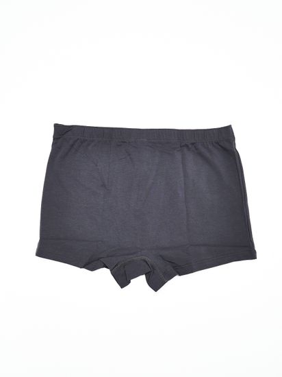 Шорты мужские ATLANTIC MH-1652