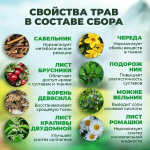 Травяной чай «Сибрирский сильник»