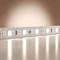 Светодиодная лента Базовая 12В 2835 4,8Вт/м 6000K 5м IP 20 201164 Led Strip 201164