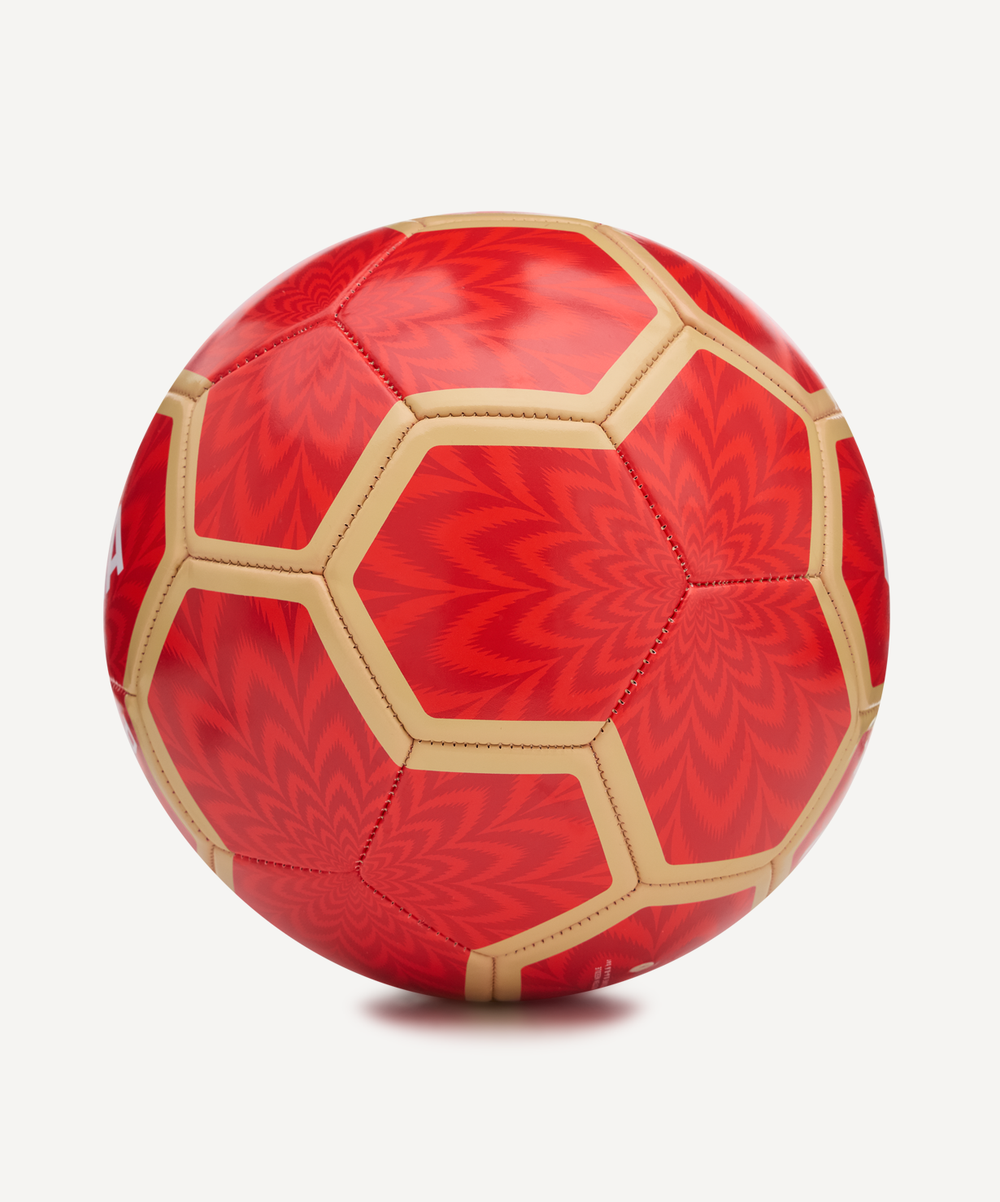 Мяч футбольный Flagball Firebird №5
