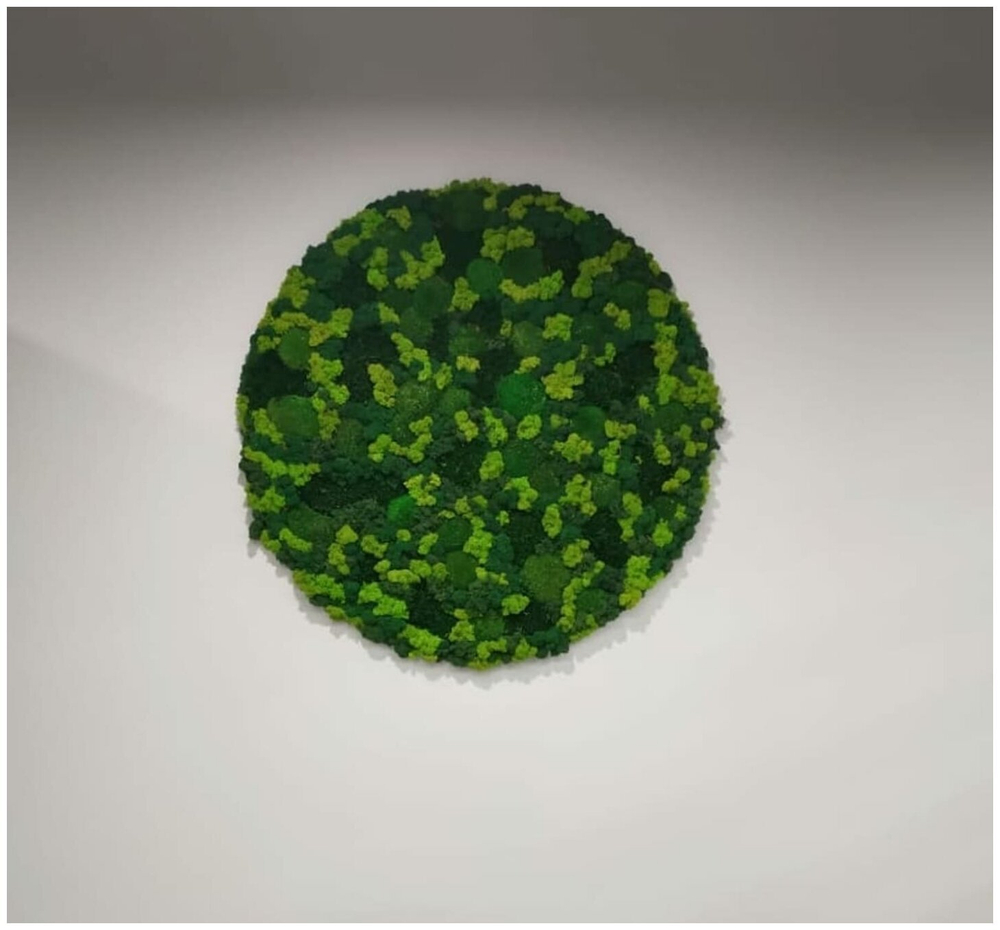 Круглое панно из стабилизированного мха, диаметр 60см