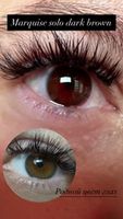 Оттеночные натуральные темно карие линзы для Светлых глаз Marquise Solo Dark brown (темно карие ) /Плюсовые диоптрии для дальнозоркости и близорукости