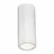 ST650.542.10 Светильник потолочный Белый LED 1*10W 4000K 800Lm Ra>90 38° IP44 D62xH151 165-265V Накладные светильники