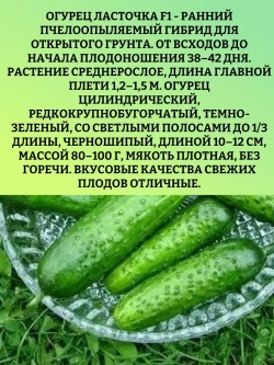 Семена Огурец пчелоопыляемый Ласточка F1 -2 гр