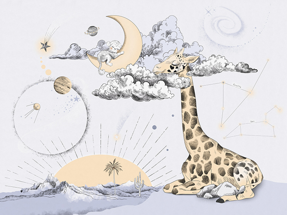 Коллекция COSMOS 25