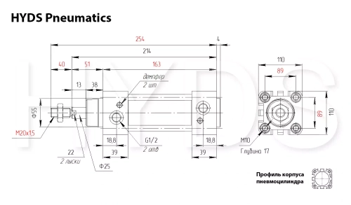 DNC-100-25-PPV-A Пневмоцилиндр