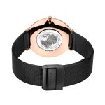 Наручные часы Bering 15739-166