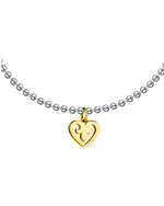 Сет СЕРДЕЧКО биколор