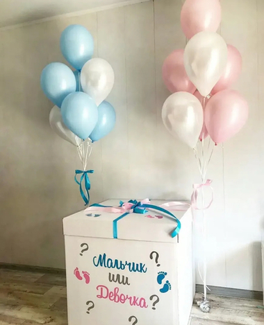 Шарики на Гендер пати