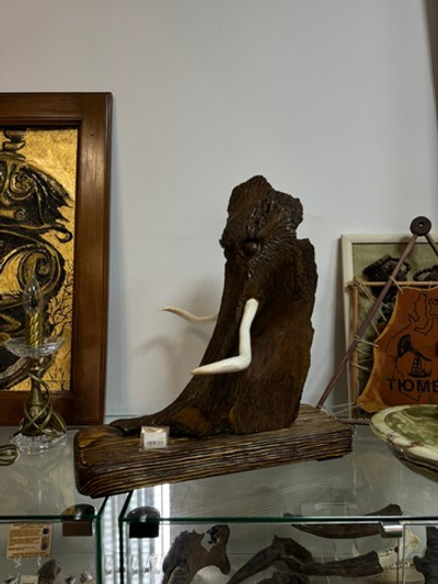 Взгляд из вечности