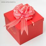 Бант-шар №4.5 "Тонкие полосы", цвет красный